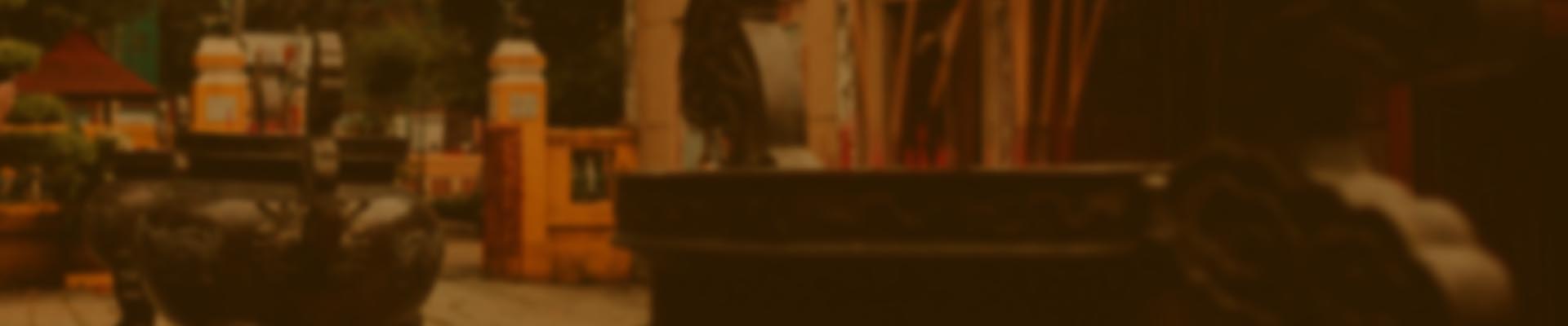 main banner image